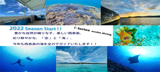 『願いを叶える』ダイビングでありたい。すべては、「笑顔」のために・・・。