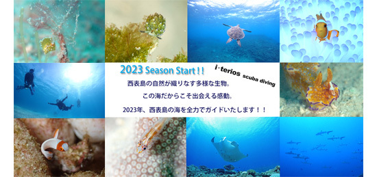 『願いを叶える』ダイビングでありたい。すべては、「笑顔」のために・・・。